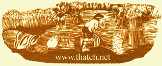 thatch net